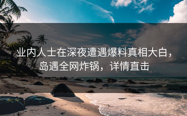 业内人士在深夜遭遇爆料真相大白，岛遇全网炸锅，详情直击