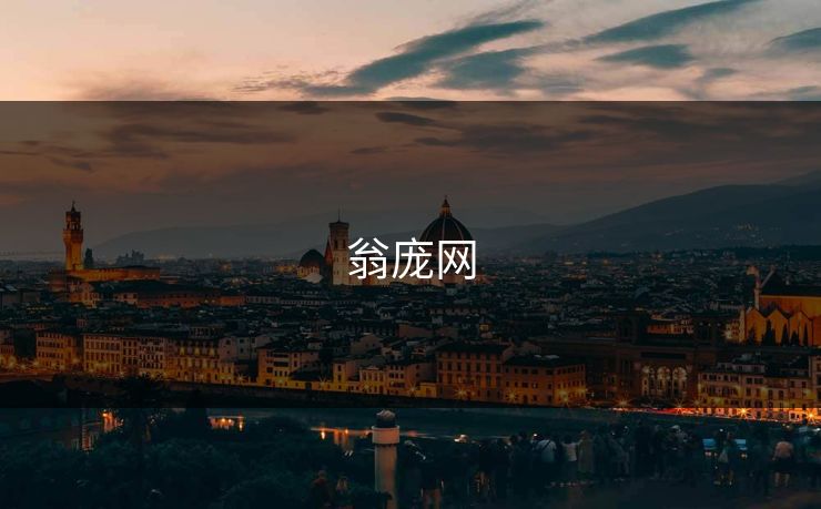 翁庞网