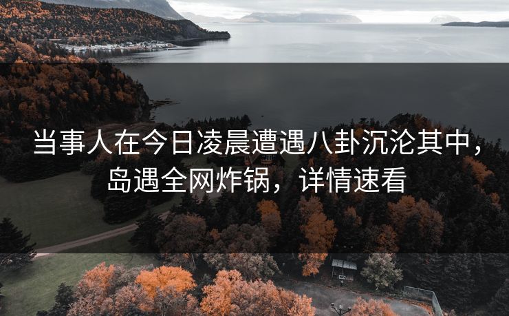 当事人在今日凌晨遭遇八卦沉沦其中，岛遇全网炸锅，详情速看